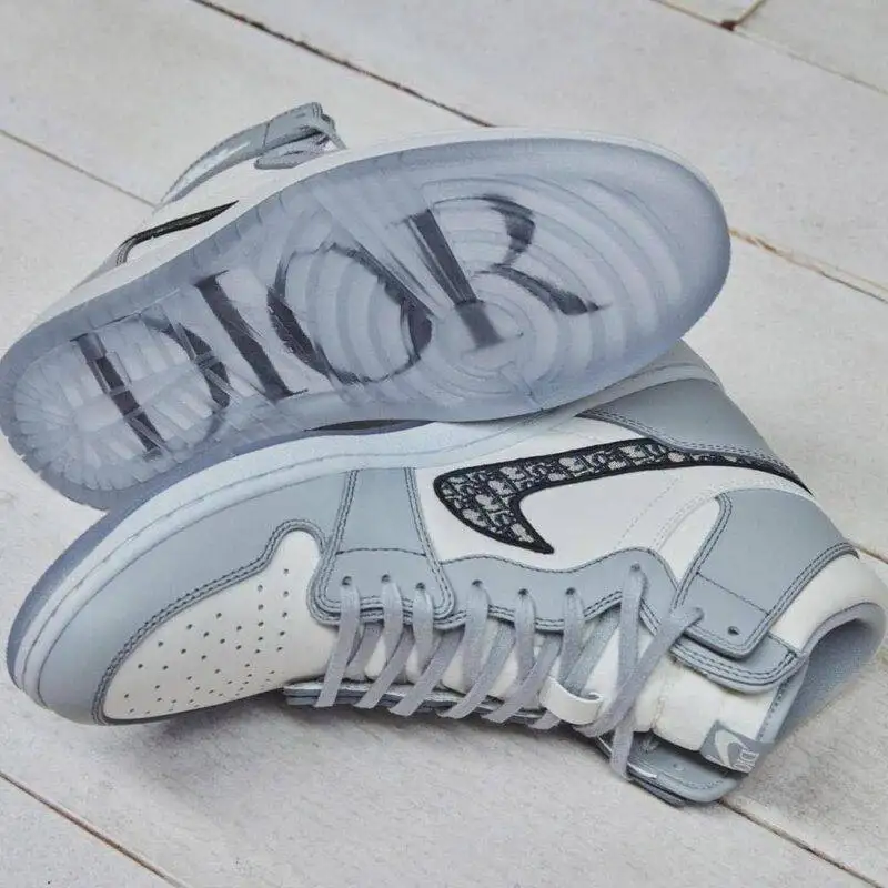 Dior x Pandabuy Air Jordan 1 High OG 'White Wolf Grey'