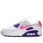 Pandabuy Nike Pandabuy Air Max 90 'Concord Purple'